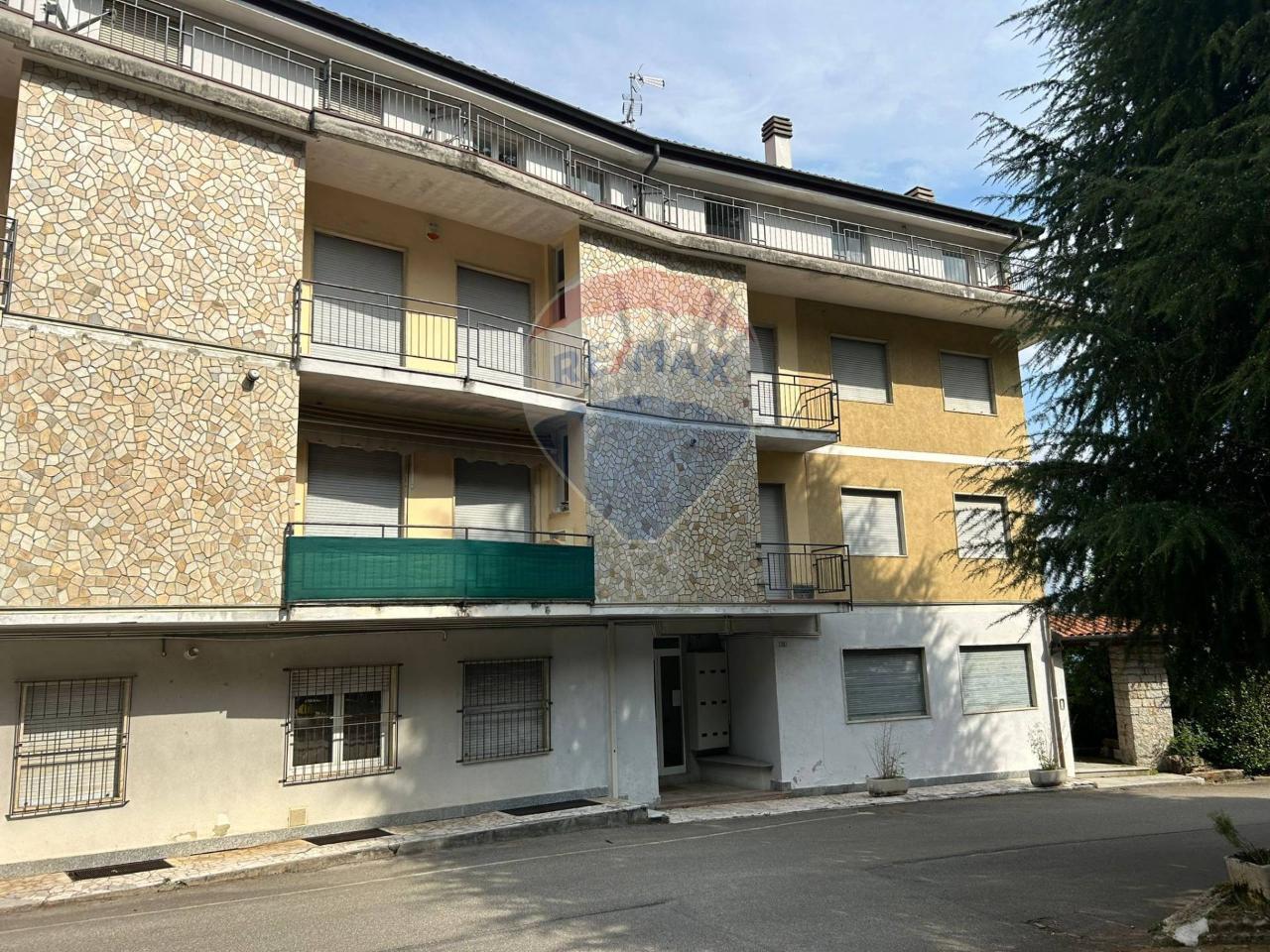 immagine annuncio 11 di 14