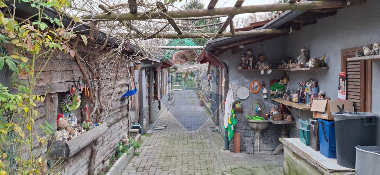 immagine annuncio 8 di 15