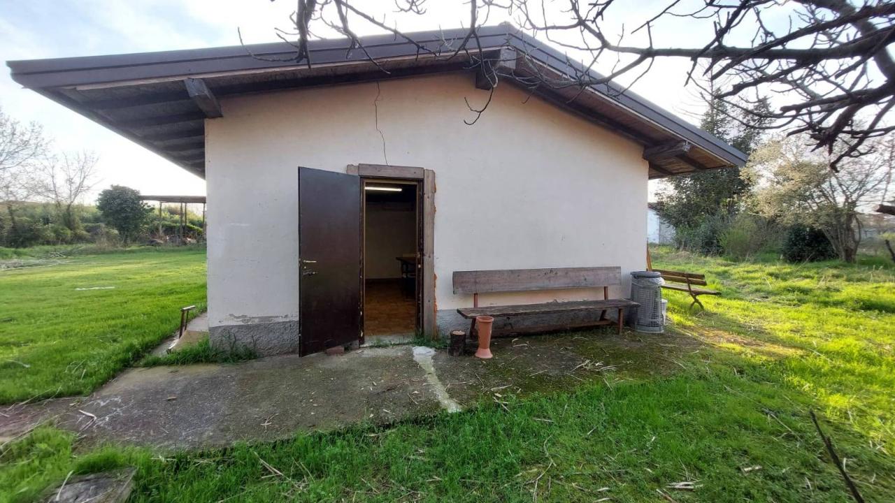 immagine annuncio 10 di 15