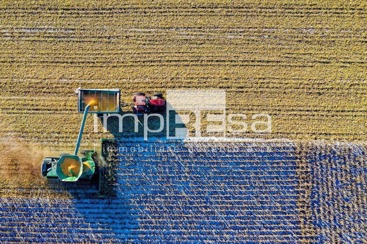 immagine annuncio 8 di 11
