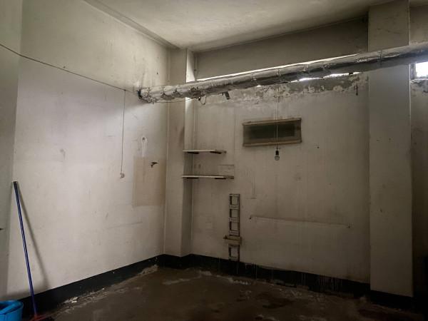 immagine annuncio 5 di 14