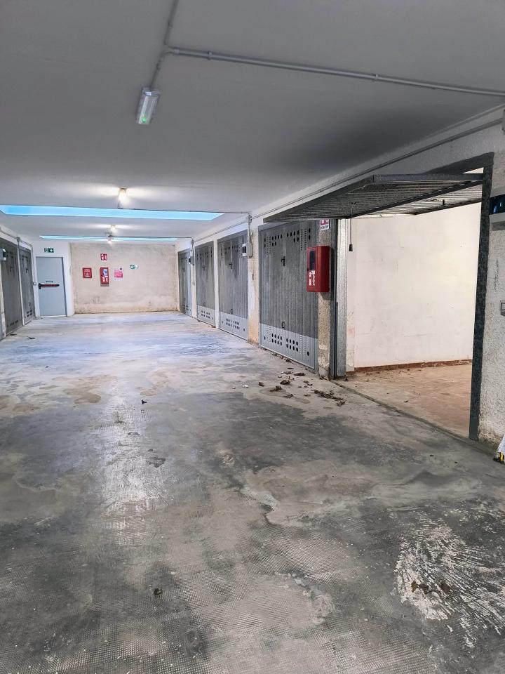 immagine annuncio 5 di 8