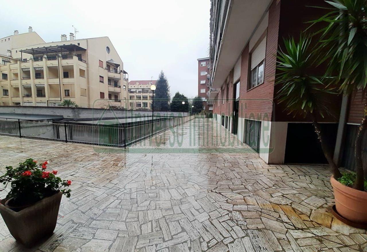 immagine annuncio 13 di 14