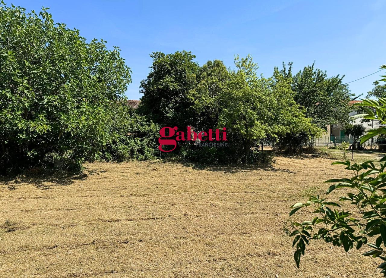 immagine annuncio 9 di 11