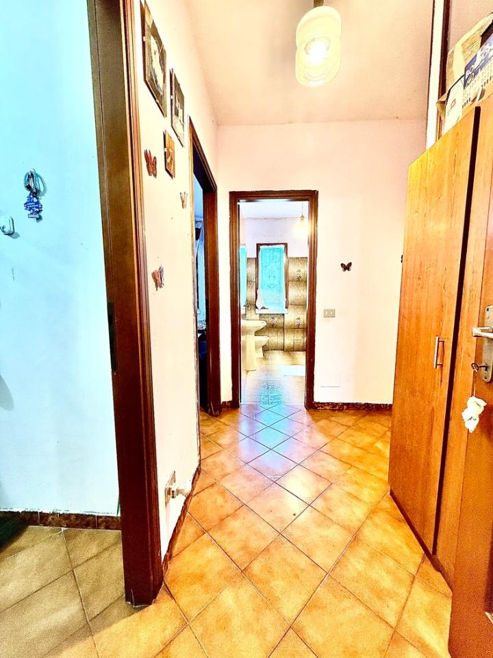 immagine annuncio 7 di 14