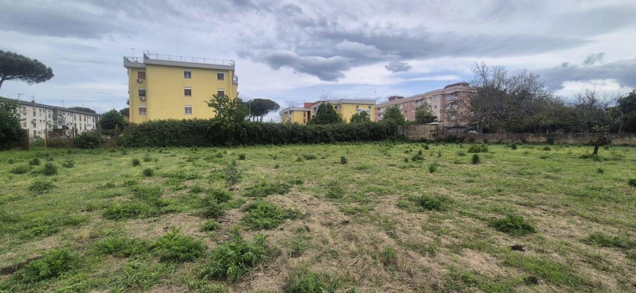 immagine annuncio 6 di 8
