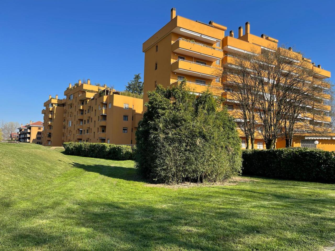 immagine annuncio 10 di 11