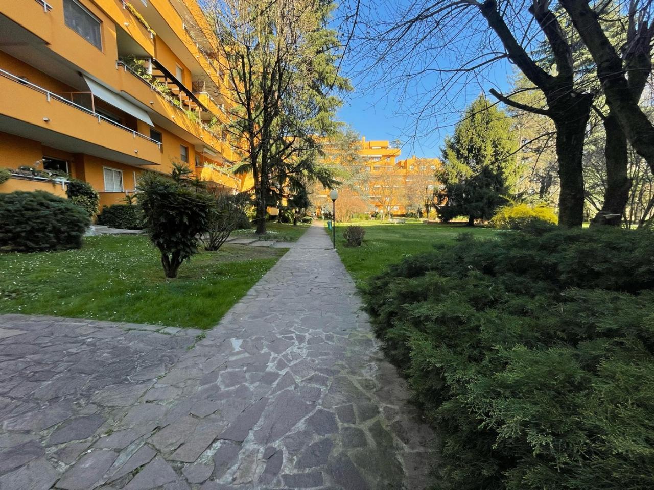 immagine annuncio 3 di 11