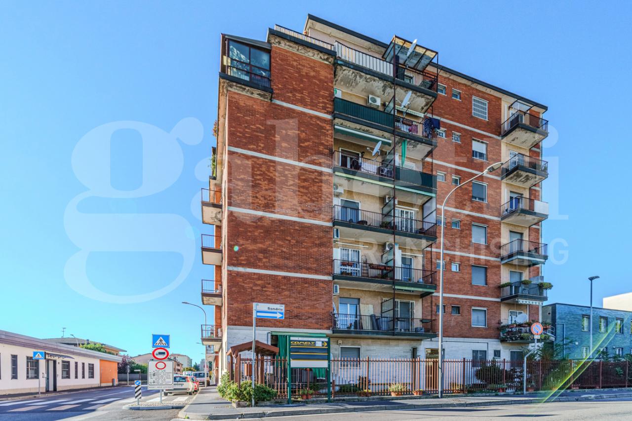 immagine annuncio 12 di 15