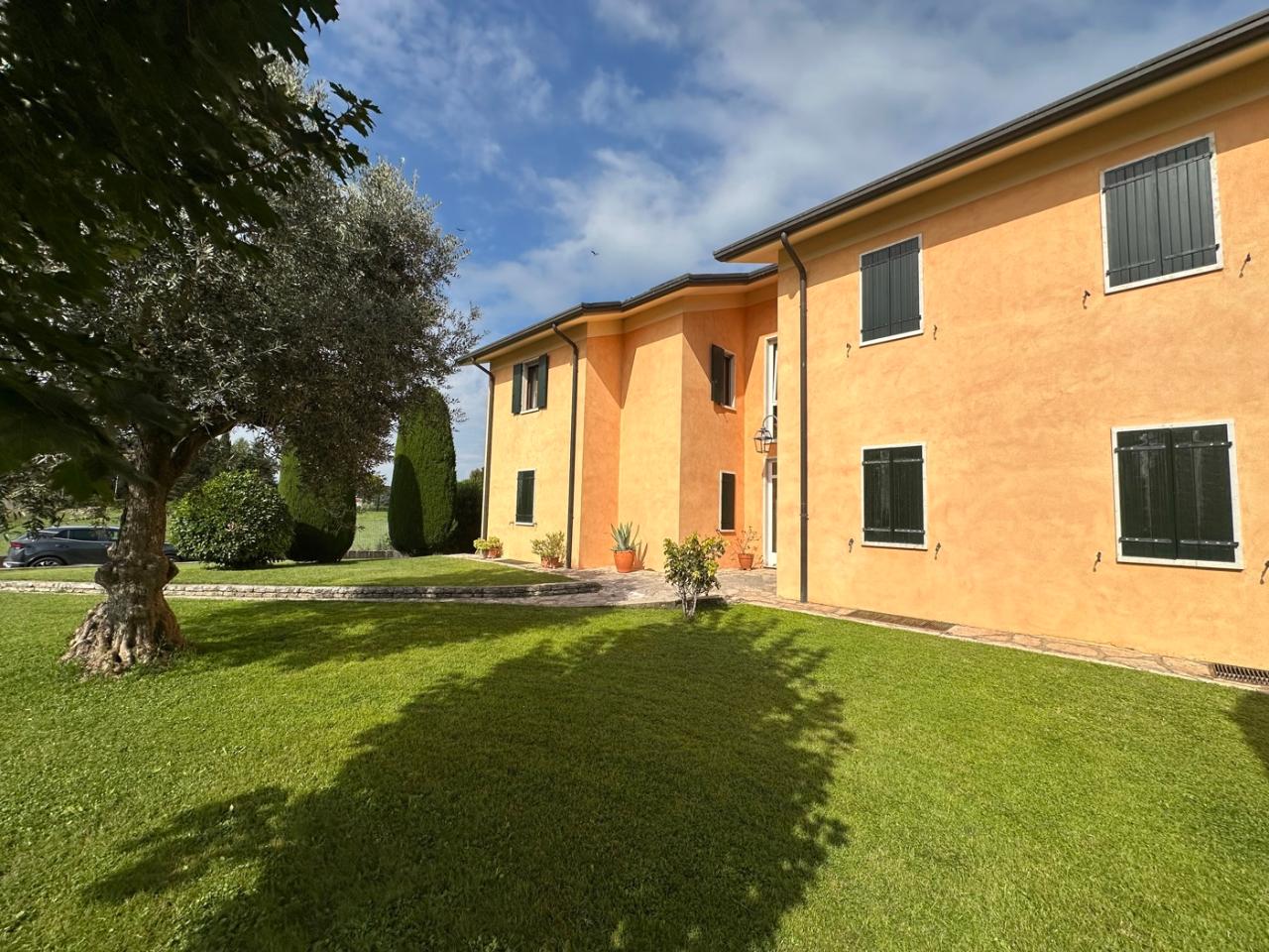 immagine annuncio 2 di 11