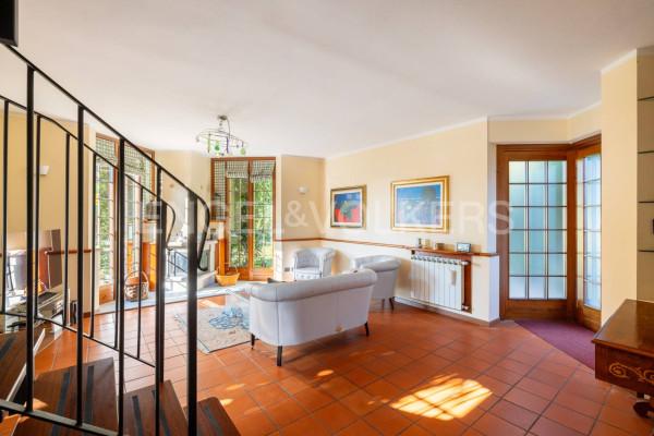 immagine annuncio 4 di 11