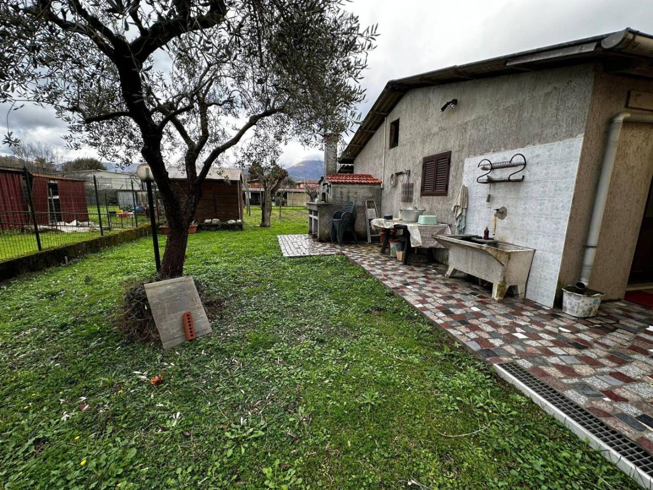 immagine annuncio 11 di 13