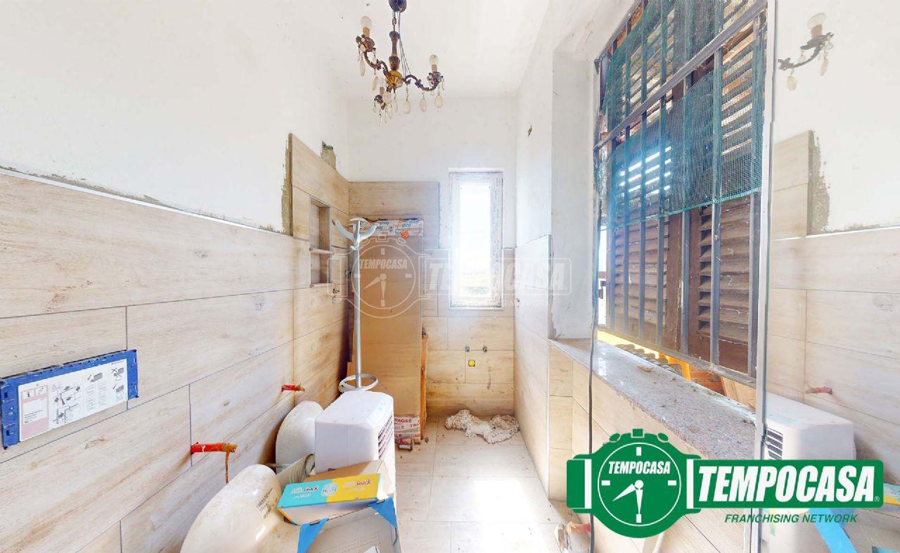 immagine annuncio 9 di 14