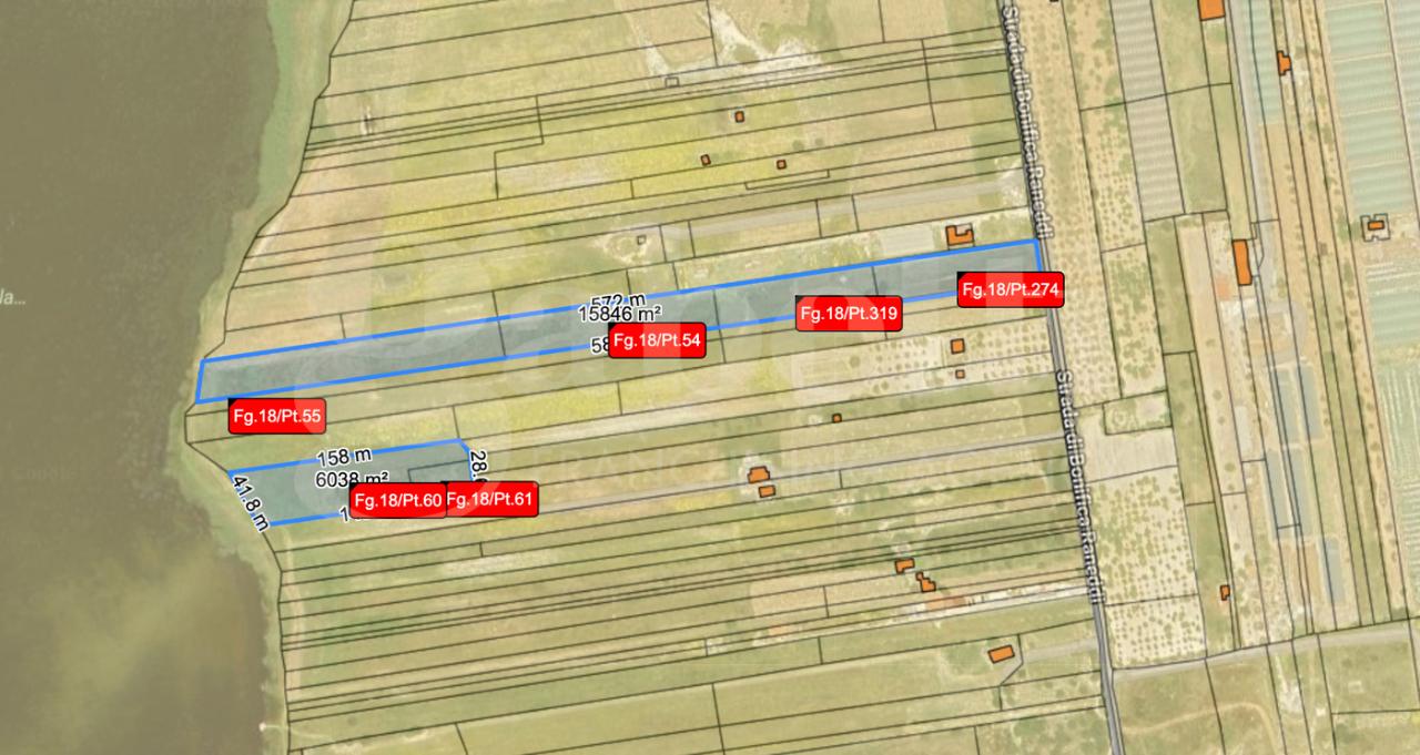 immagine annuncio 9 di 10