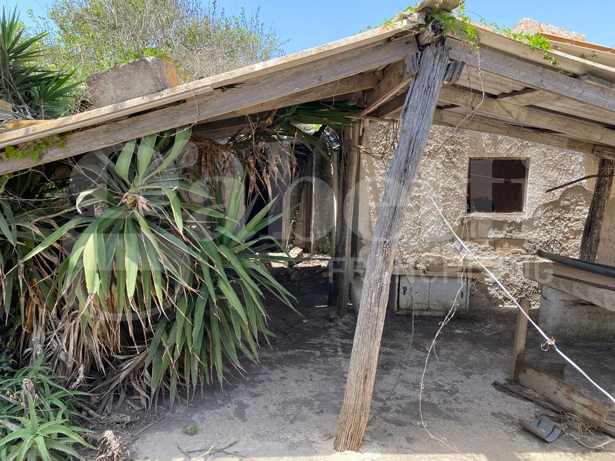 immagine annuncio 9 di 12