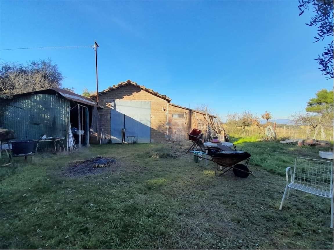 immagine annuncio 1 di 14