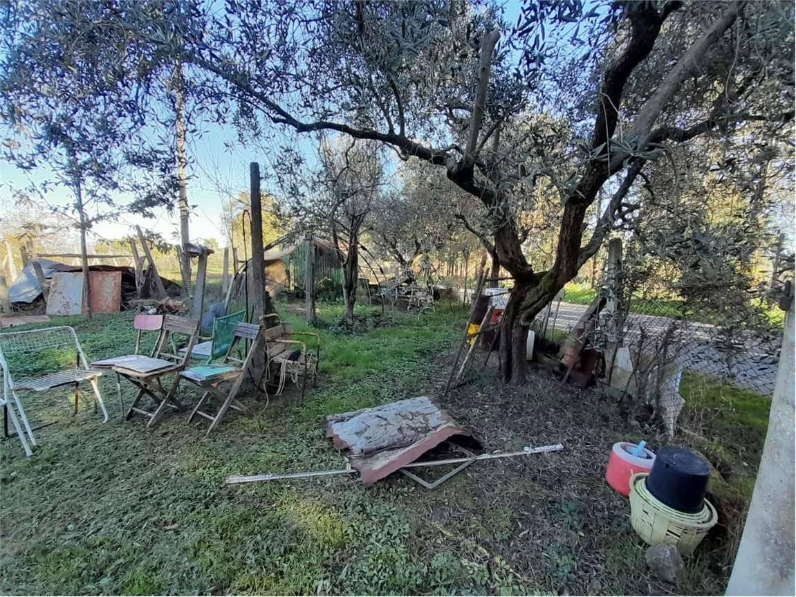 immagine annuncio 5 di 14
