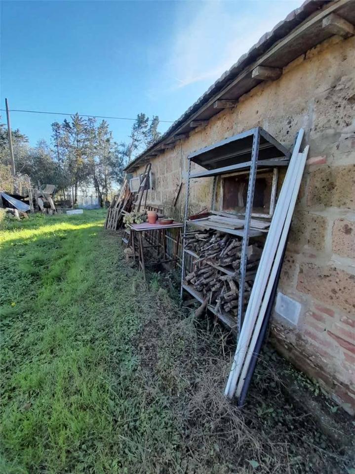 immagine annuncio 7 di 14