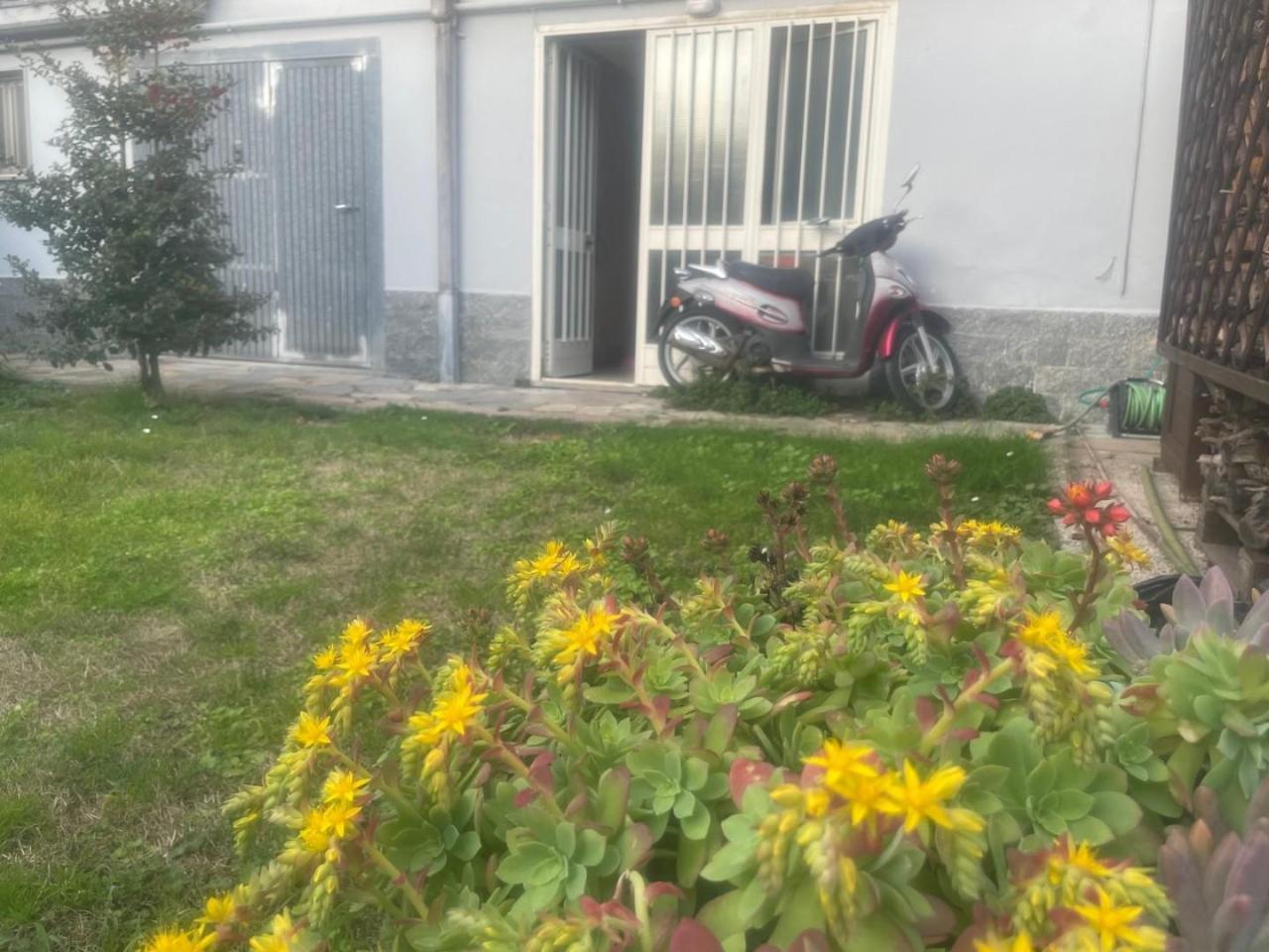 immagine annuncio 14 di 15