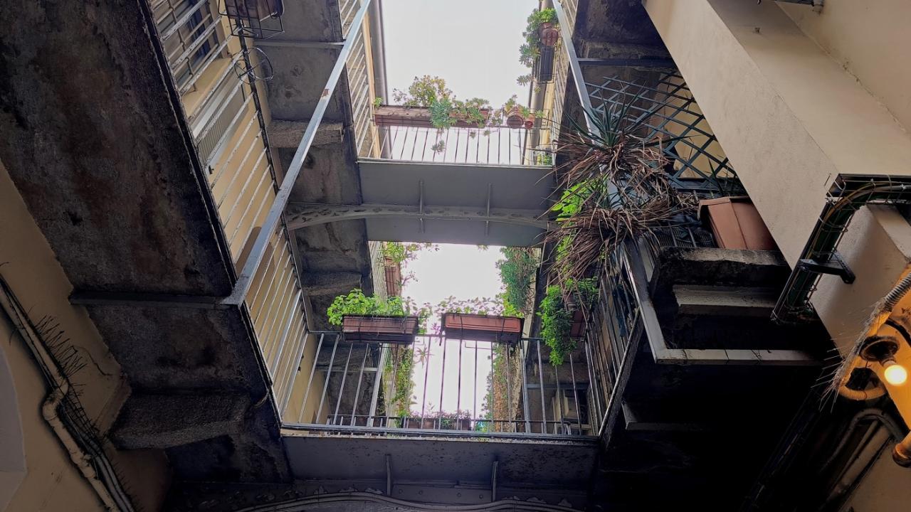 immagine annuncio 7 di 15