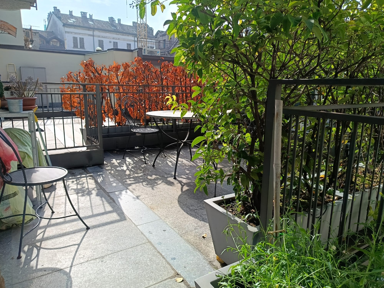 immagine annuncio 12 di 15