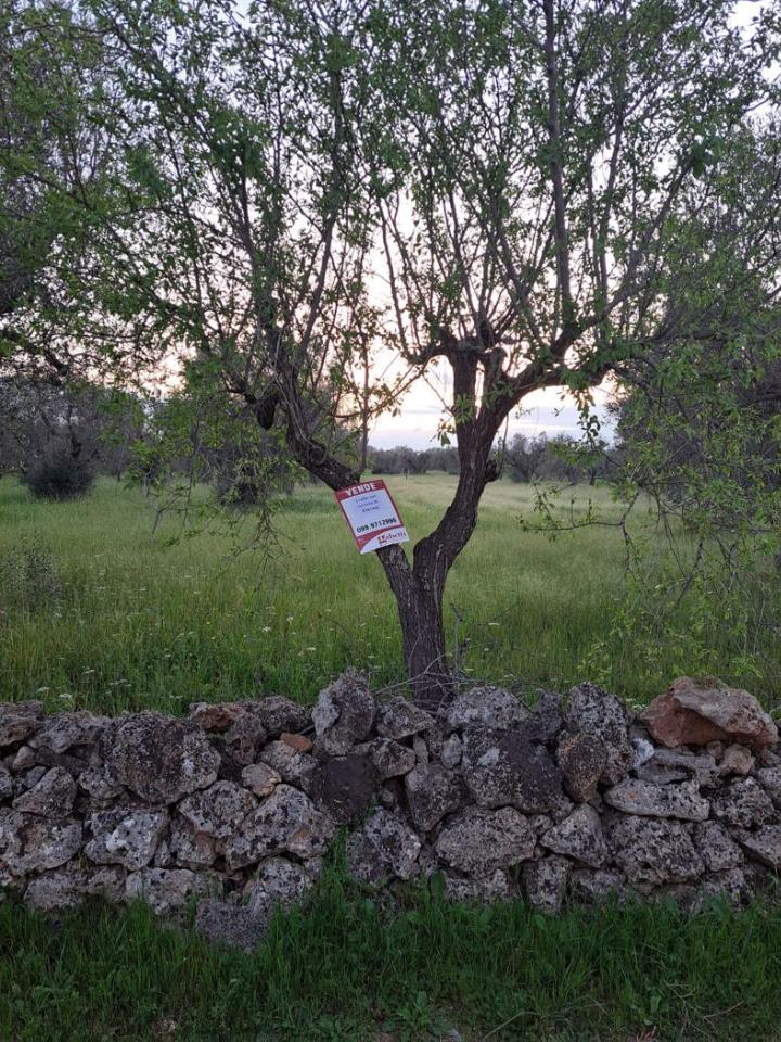 immagine annuncio 6 di 8