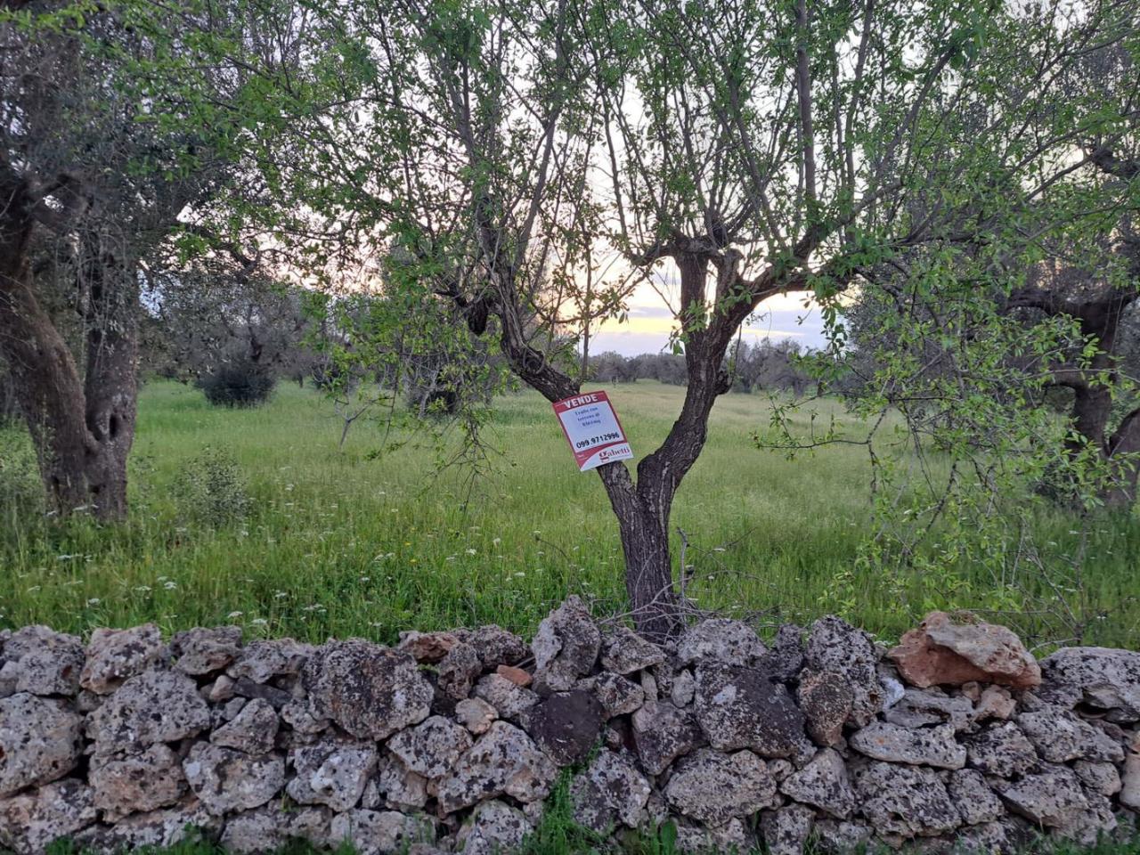 immagine annuncio 7 di 8