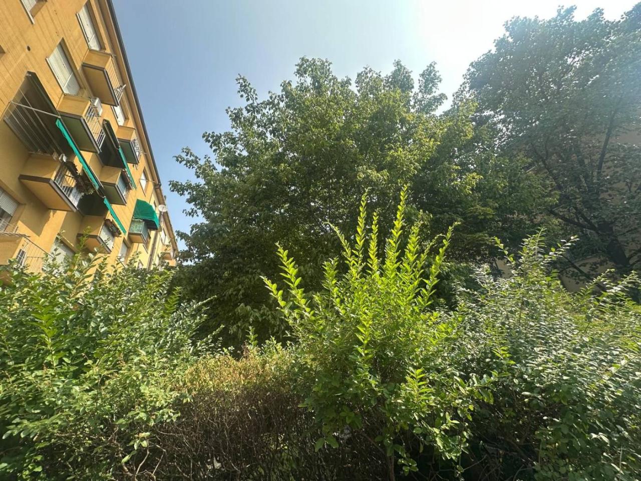 immagine annuncio 1 di 12