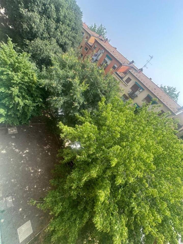 immagine annuncio 11 di 12