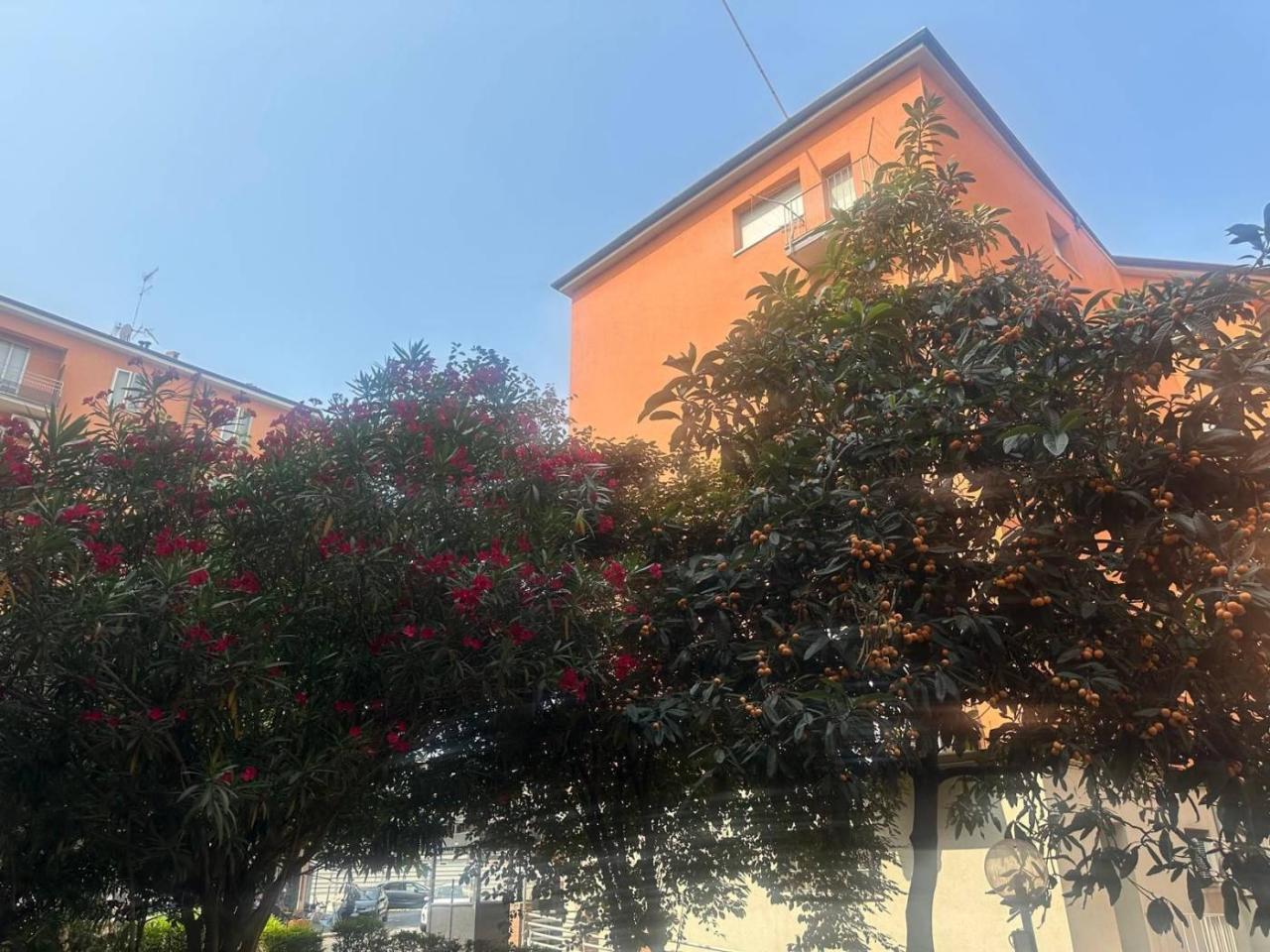 immagine annuncio 10 di 12