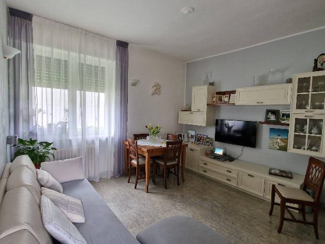 Dreizimmerwohnung in Via Edoardo Jenner 4, Santo Stefano Ticino - Foto 1