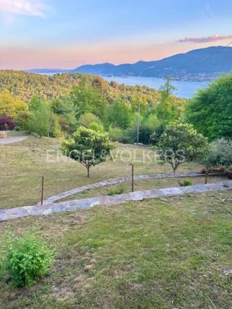 immagine annuncio 10 di 14