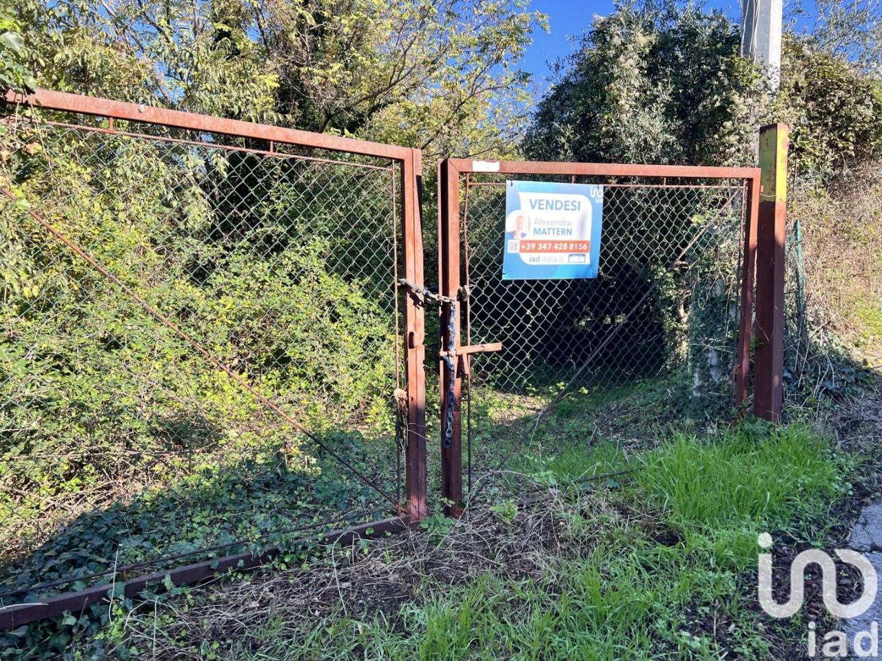immagine annuncio 6 di 13
