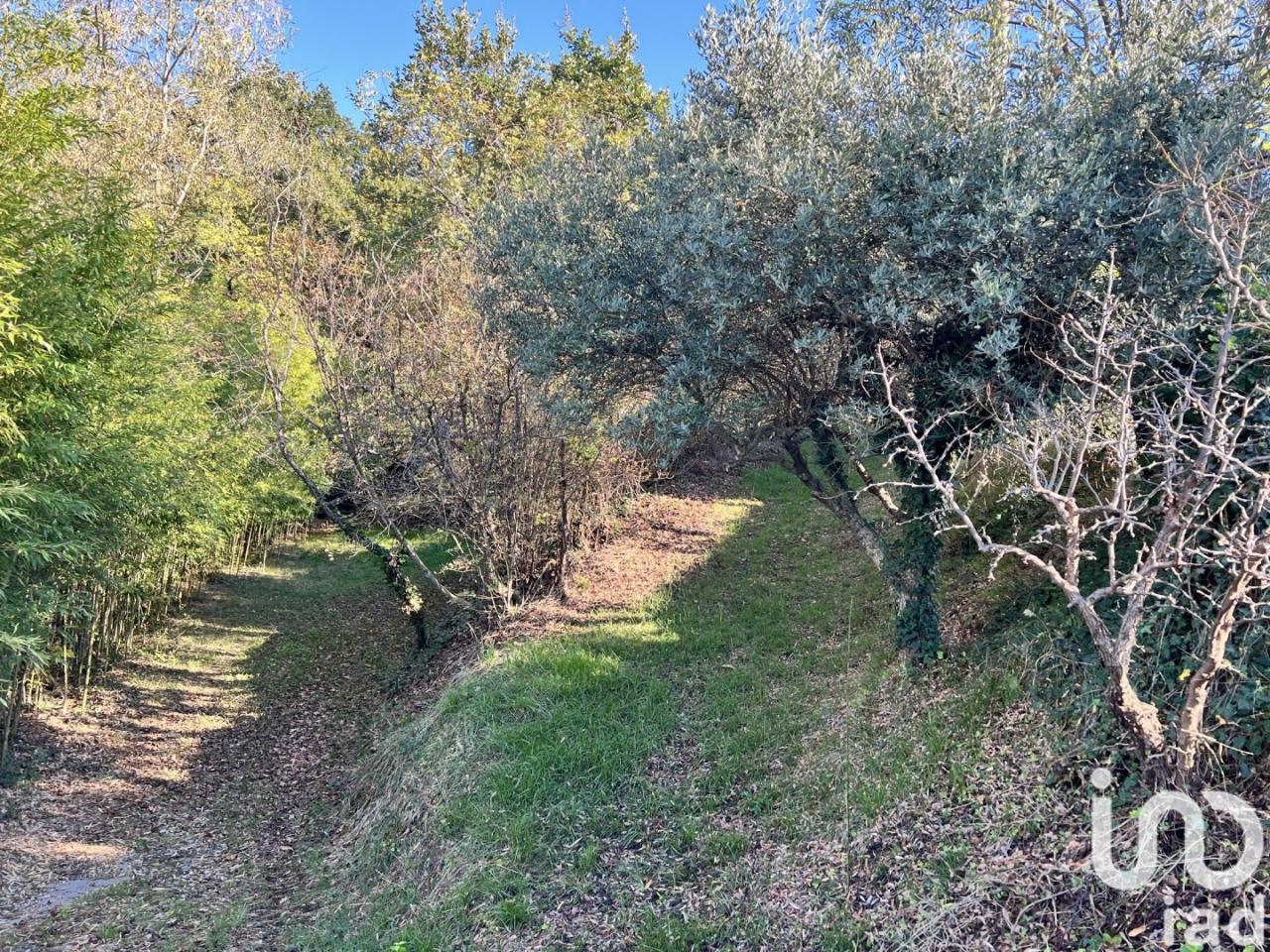 immagine annuncio 10 di 13