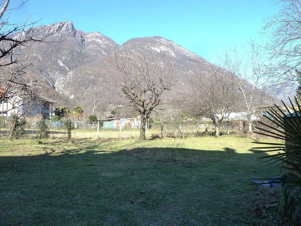 immagine annuncio 10 di 12