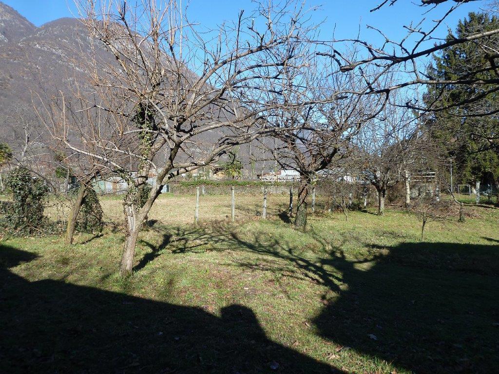 immagine annuncio 8 di 12
