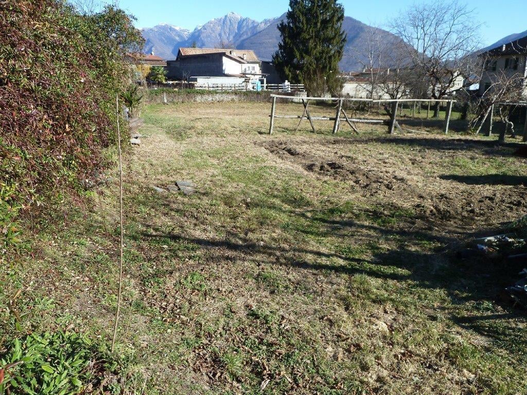 immagine annuncio 3 di 12