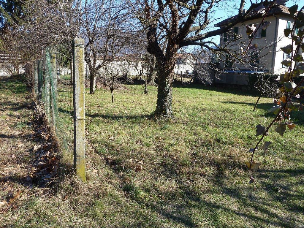 immagine annuncio 6 di 12