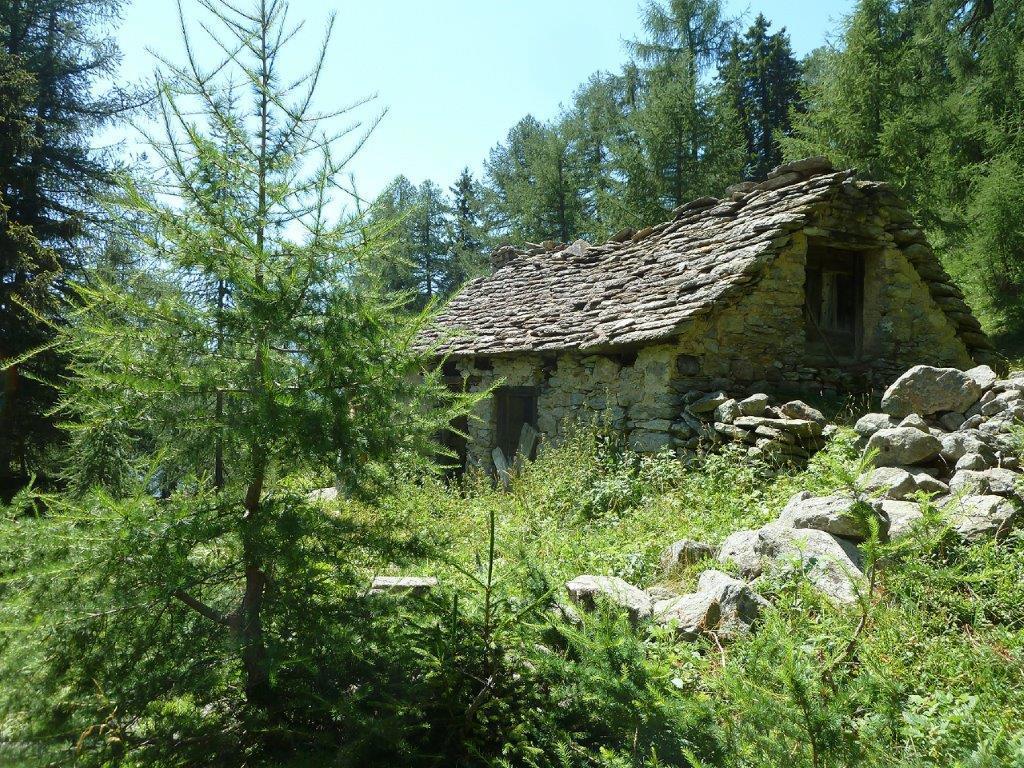 immagine annuncio 3 di 12