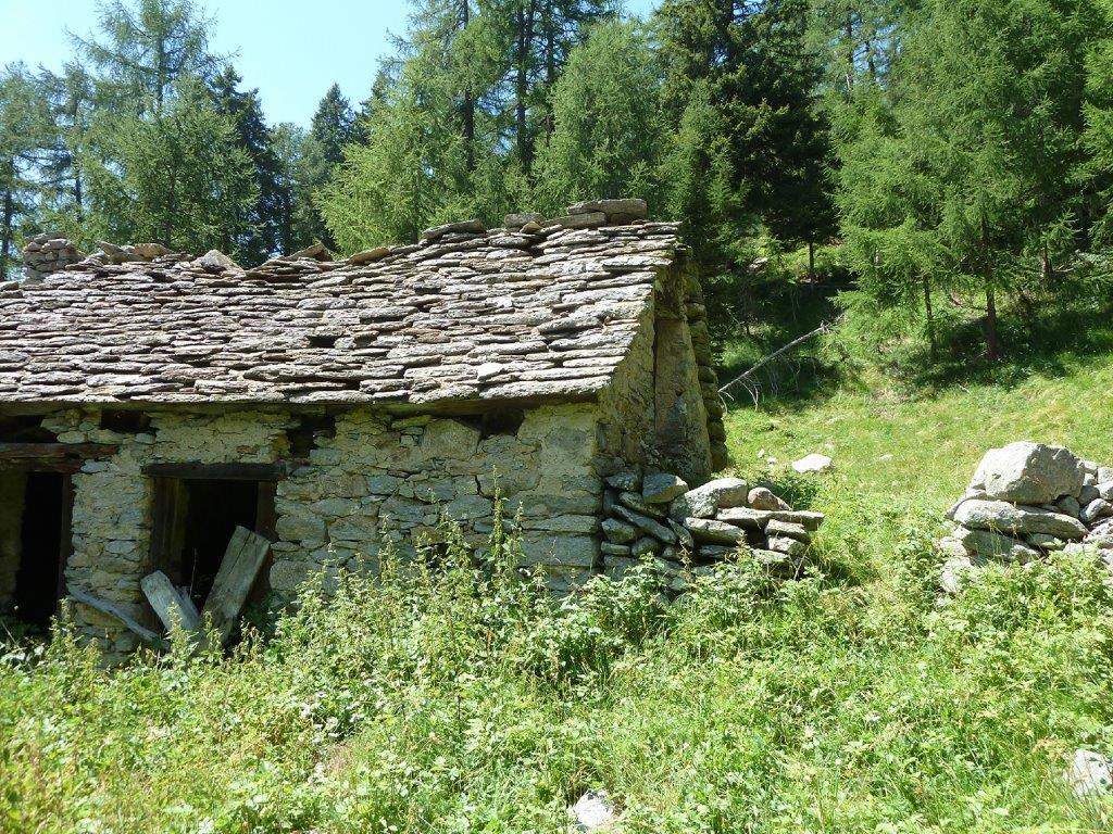 immagine annuncio 7 di 12