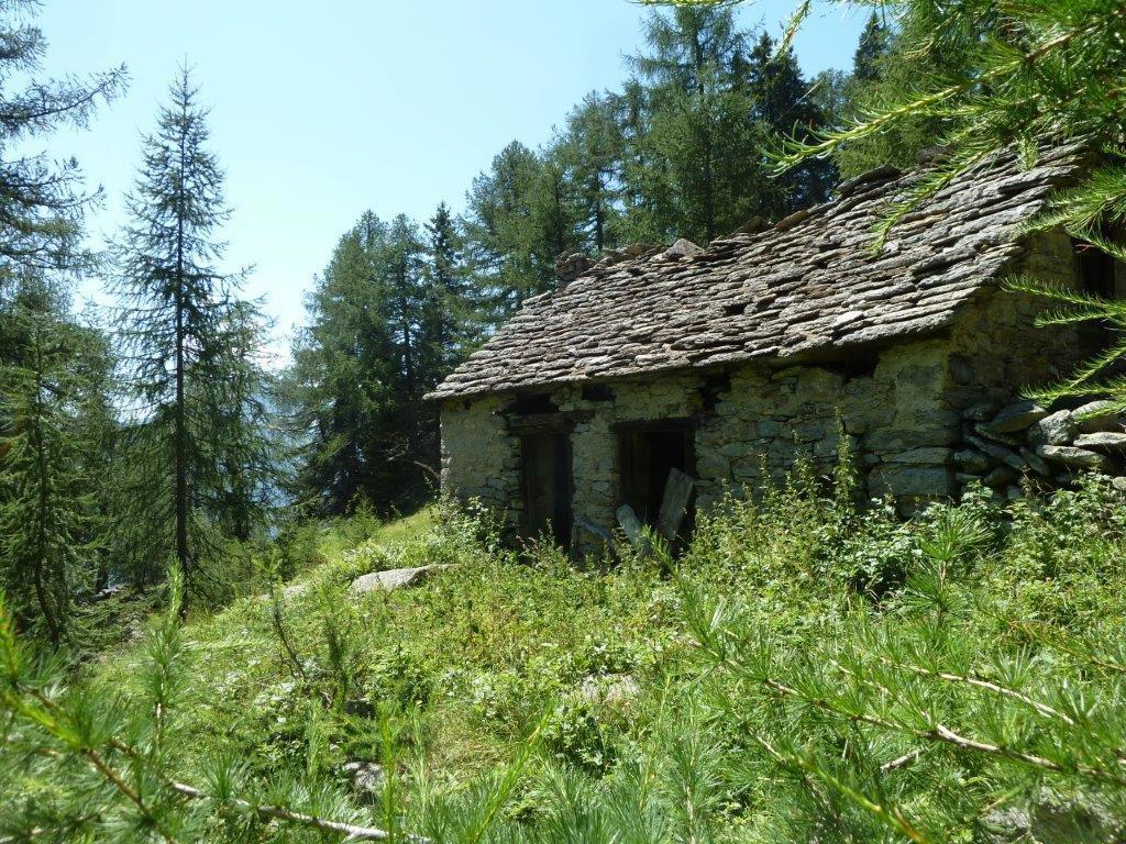 immagine annuncio 6 di 12