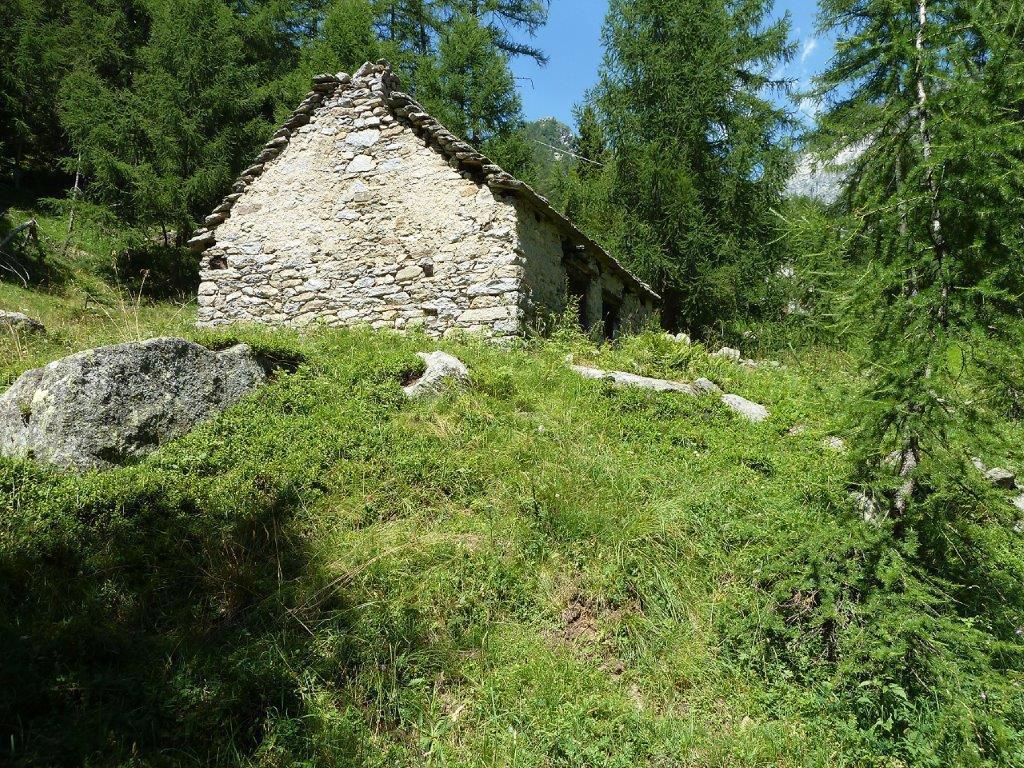 immagine annuncio 4 di 12