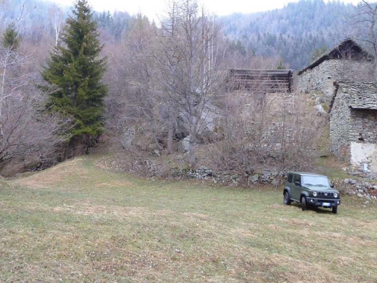 immagine annuncio 12 di 15