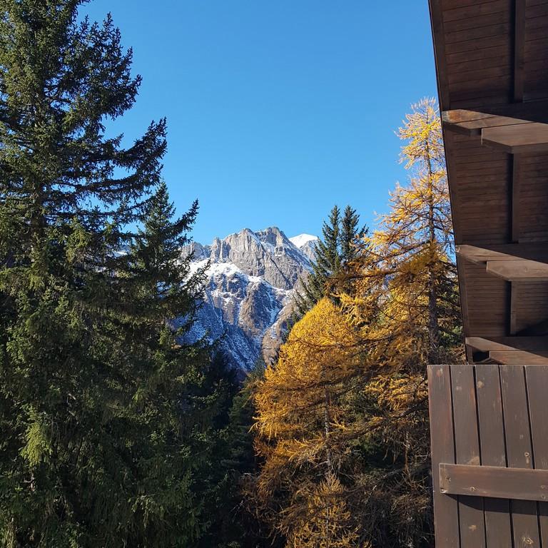 immagine annuncio 10 di 14