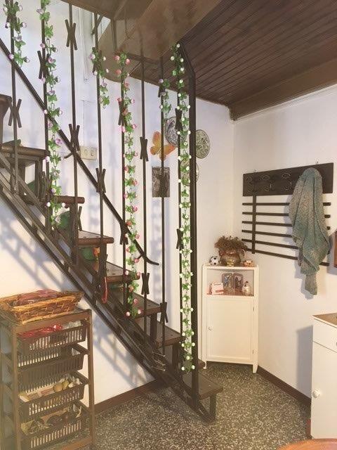 immagine annuncio 9 di 14