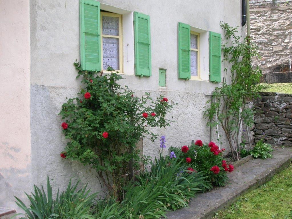 immagine annuncio 4 di 14