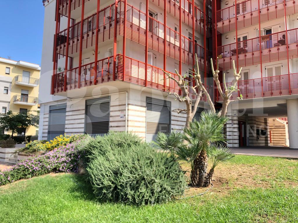 Esercizio commerciale in Viale Friuli, Corato, {3} - Foto 1