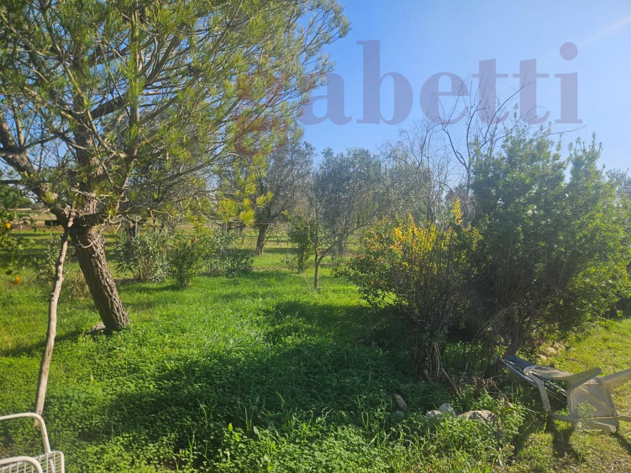 immagine annuncio 6 di 12