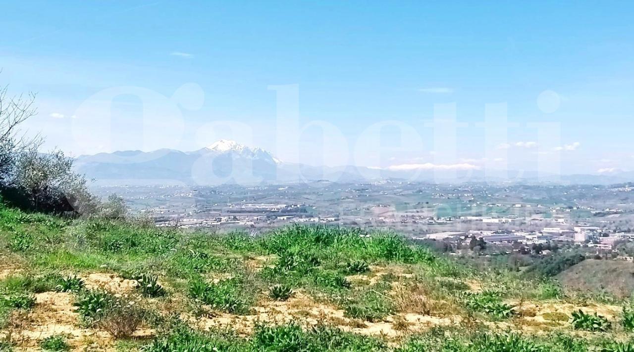 immagine annuncio 1 di 6