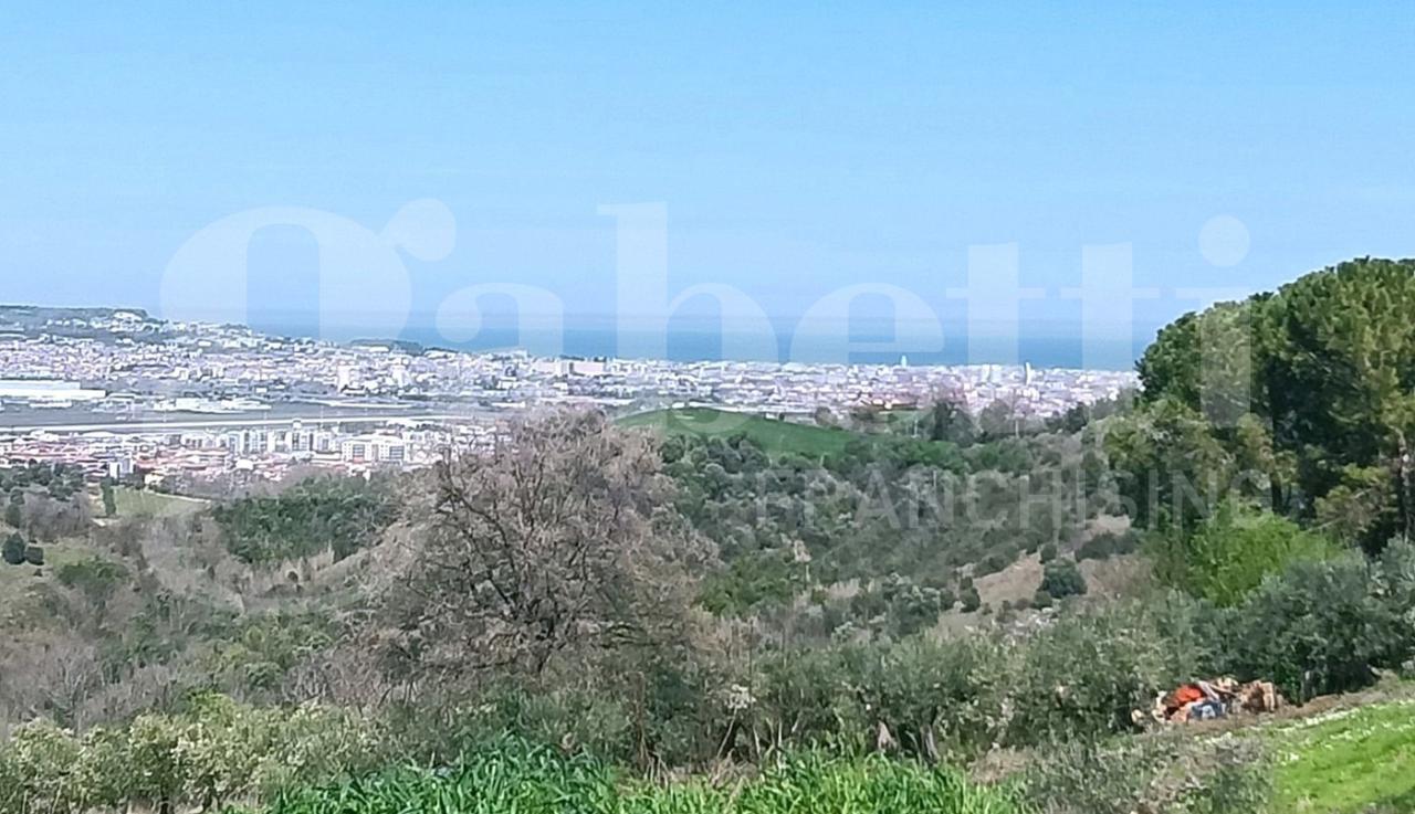 immagine annuncio 2 di 6